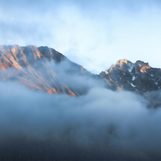 finding a path in uncertain times