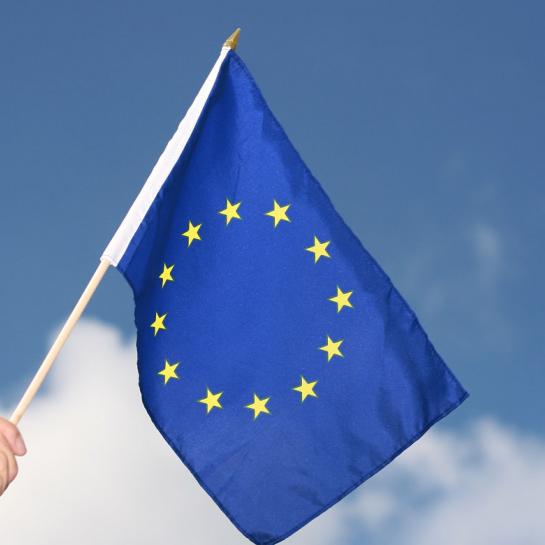 Hand waving EU flag