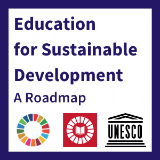 UNESCO framework